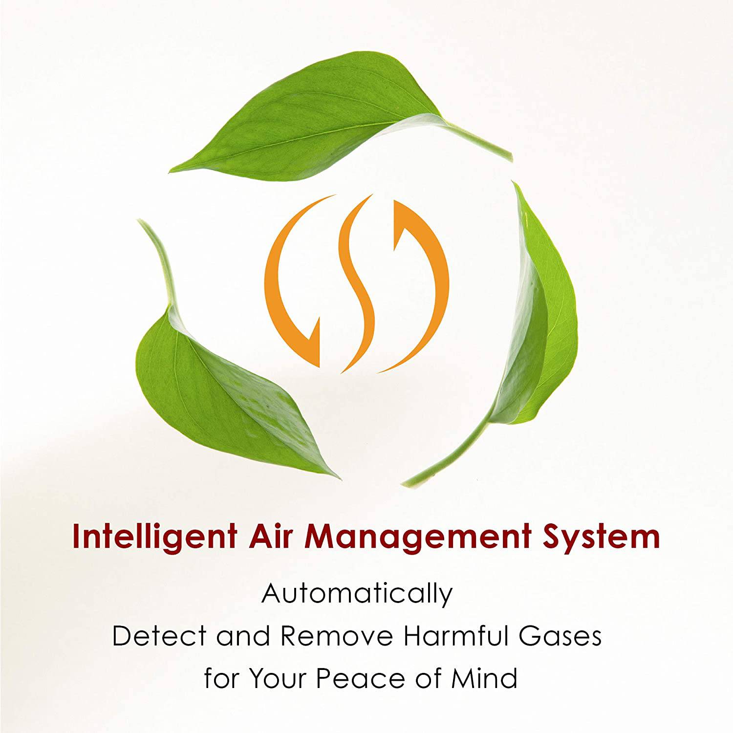 Fotile Under Range Hood UQG3002 丨 30" Fotile Canada